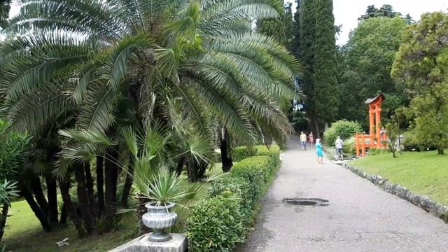 Сочи. Кипарисовая аллея. Сочинский дендрарий. Август 2022 года. смотреть онлайн