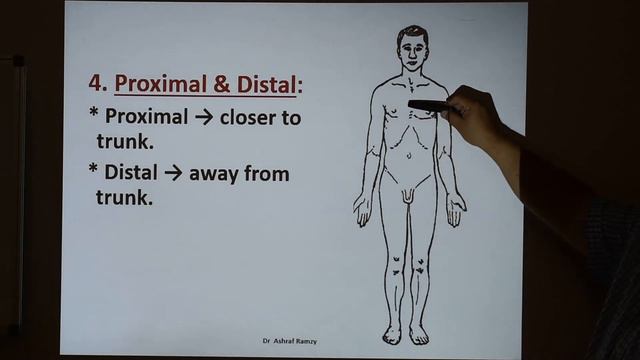 Lecture 1 - Introduction To Human Anatomy (General Anatomy)