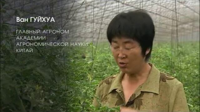 017 Опыты и практическое применение структурированной воды в сельском хозяйстве Из фильма Вода смотреть онлайн