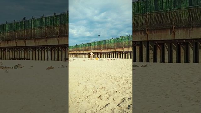 Шум моря. Балтика смотреть онлайн