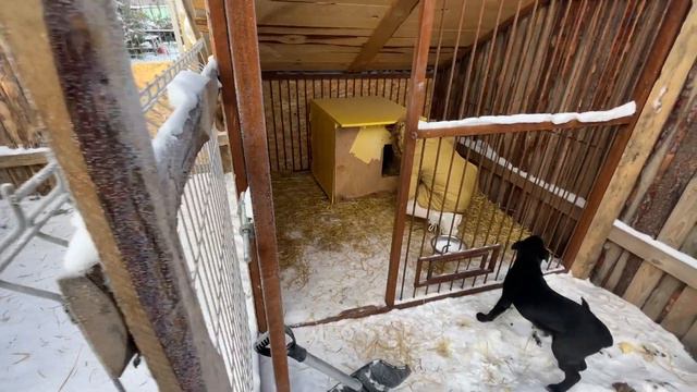 Спасибо что вы к нам приезжаете. Это позволяет нам выжить смотреть онлайн