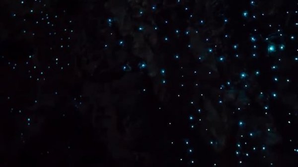 Waitomo Glowworm Caves, New Zealand