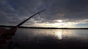 Рыбалка в октябре на фидер р.Ока! Она сытая и клюёт!