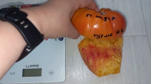 Томат Хурма от 7 производителей: обзор сорта Хурма, характеристики, урожайность и какой на вкус смотреть онлайн