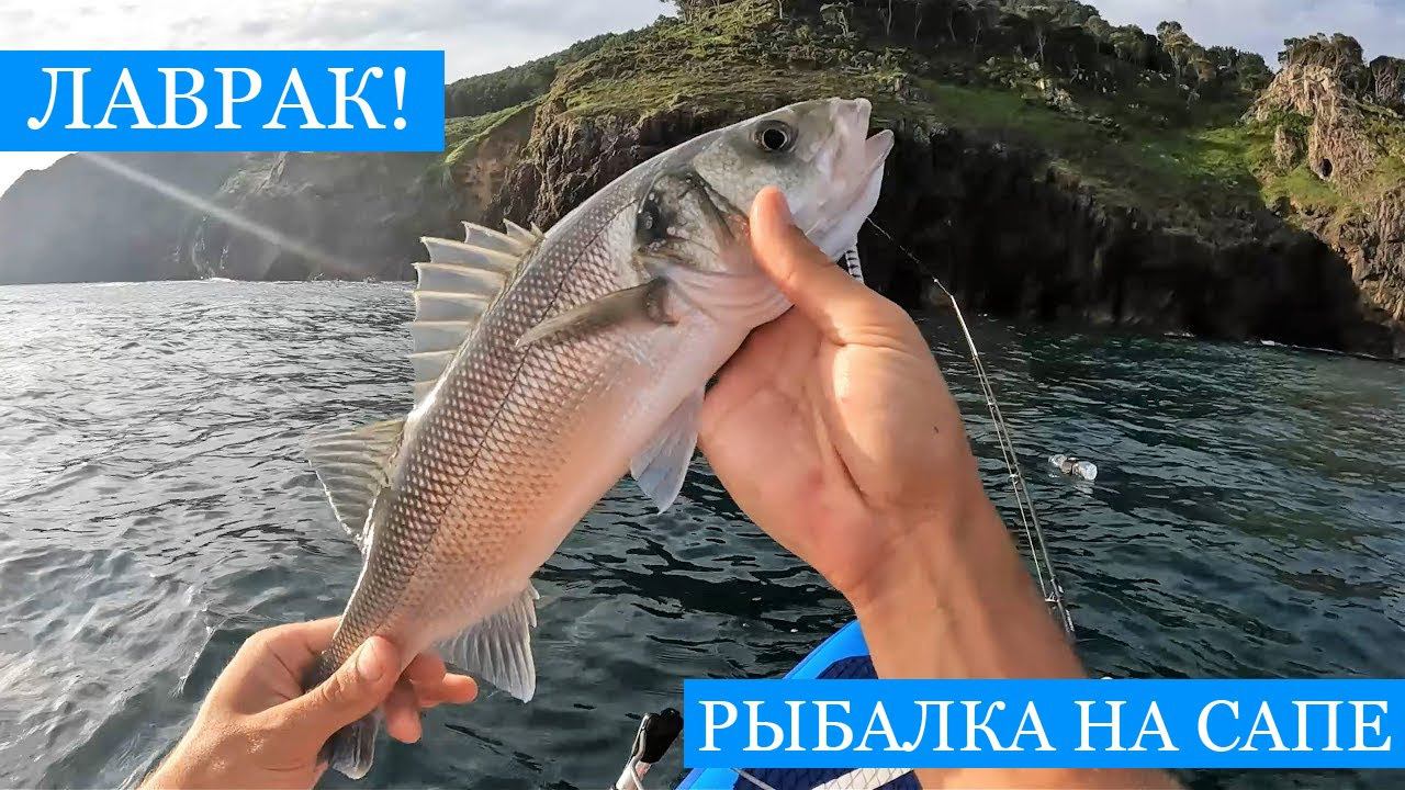 Ловля ЛАВРАКА! Сибас - СПЕЦВЫПУСК! Троллинг на сапе, нырялка и немного экзотики!) смотреть онлайн