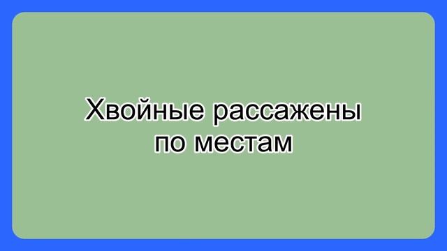 Перепланировка в саду. смотреть онлайн
