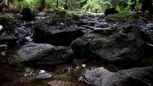 30 Mins Relaxing With Nature Sounds-Water Sounds-Bird Song-To Help You Study- Sleeping-Meditation