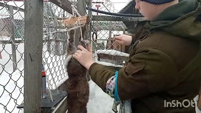 Обзор и Тест ножа- Кизляр,, Арал" сталь AUS-8 стоит ли его покупать смотреть онлайн