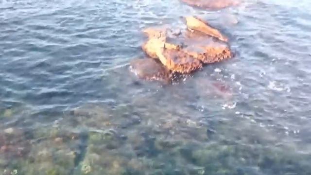 Я никогда не видел моря... Осеннее море. Одесса смотреть онлайн