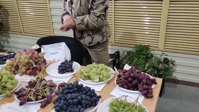 Выставка винограда 2022г в Казани. смотреть онлайн