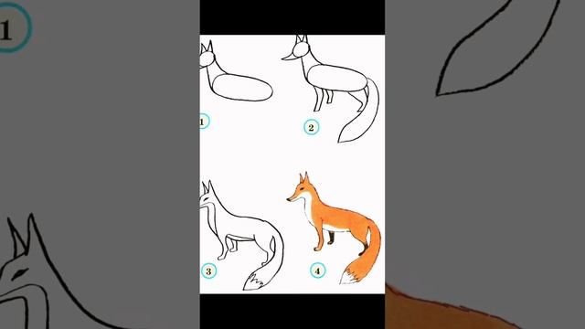 Как нарисовать лису.Если тебе удалось нарисовать лису то поставь лайк и подпишись. смотреть онлайн