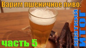 Варим пшеничное пиво: часть 5 (краткий ИТОГ)