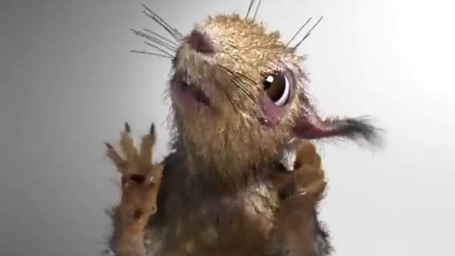 Белочка пришла... смотреть онлайн