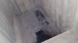 Шкода Октавия А5 1.6 BSE замена масла и свечей без снятия коллектора