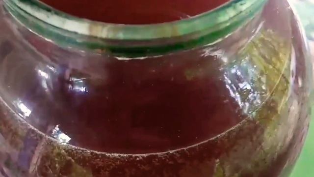 Любимая кухня