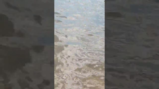 Влог мы купаемся на пляже смотреть онлайн
