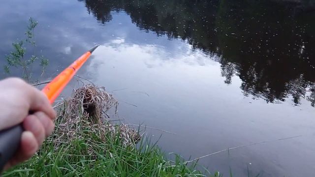 Первая летняя рыбалка 2022 смотреть онлайн