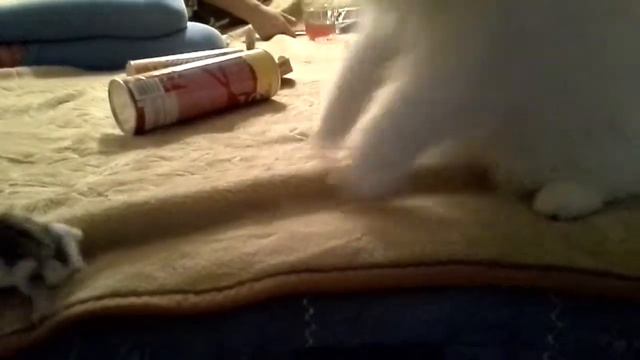 Домашний зоопарк смотреть онлайн