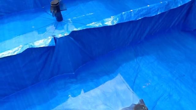 New backyard setup | Preparing for guppy fish massive production смотреть онлайн