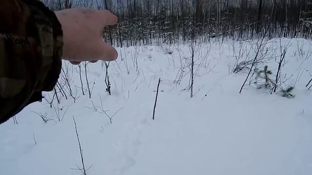 Еду проверять петли на зайцев смотреть онлайн