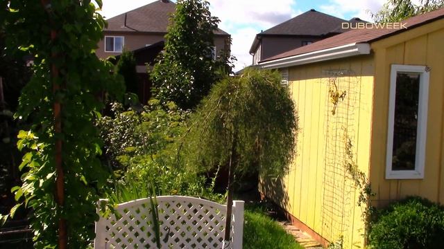 Что растет в Канаде, наш сад и огород часть1 смотреть онлайн