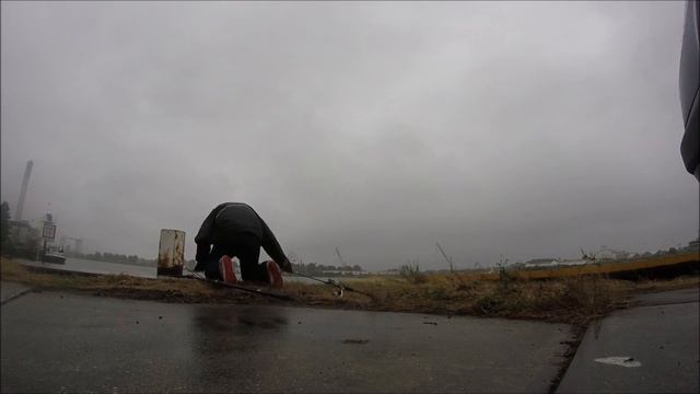 Snoekbaars op de rivier - fishvlog #15 смотреть онлайн