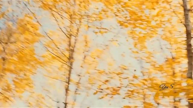 Колибри - Жёлтый лист смотреть онлайн