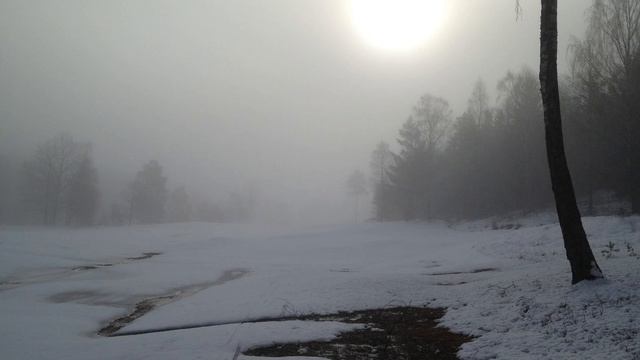 Erkki Melartin String trio op 133, 4th mov Finale смотреть онлайн