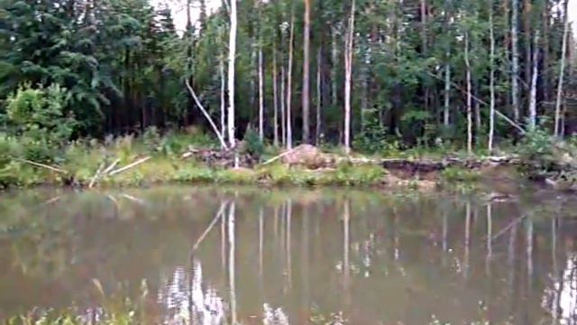 Чистые пруды Уральской слободы.wmv смотреть онлайн