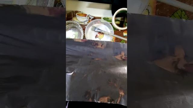 Поделка из ватного папье-маше вместе с детьми. 1-я часть смотреть онлайн