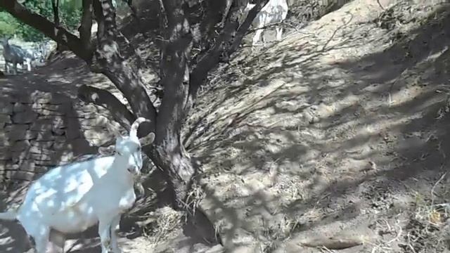 Отдых на Зуевском водохранилище смотреть онлайн