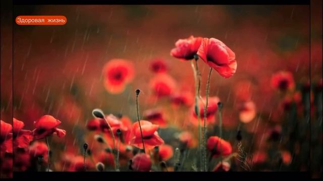 ТВОЙ ДЕНЬ - Аффирмации - настройки от Луизы Хей. Слушать Утром. смотреть онлайн