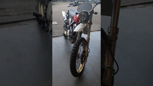 DOMINATOR 650 смотреть онлайн