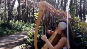 Игра на арфе. Знакомство с инструментом. Девочка играет на арфе.