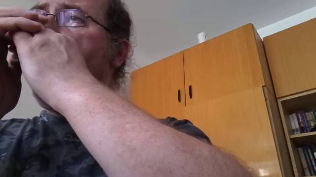 Mem'ry (from Cats) смотреть онлайн