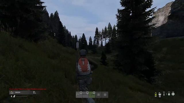 доброе утречко) - DayZ смотреть онлайн