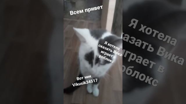 Ник Вики в роблоксе смотреть онлайн