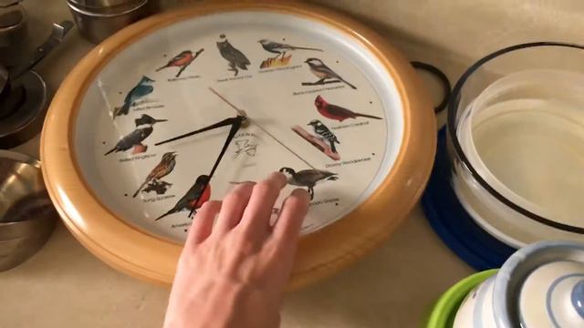 The Death Of A Great Bird Clock смотреть онлайн