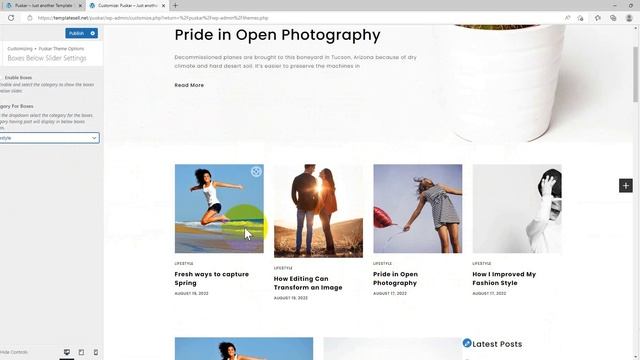 Puskar WordPress Blog Theme Guide (Video Documentation) смотреть онлайн