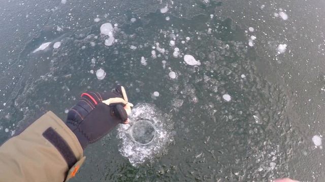 Зимняя рыбалка, первый лёд, карп.Рыбалка в Ливнах. смотреть онлайн
