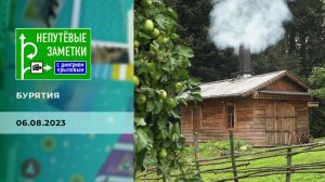 Смоленская область. Непутевые заметки. Выпуск от 06.08.2023