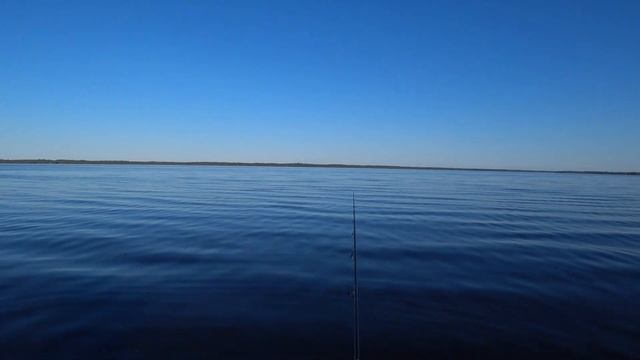 Ловля хищника на отводной поводок. Открытие лодочного сезона. Озеро Буртниеки LV. Cope Burtniekā. смотреть онлайн