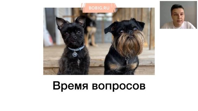Бесплатный вебинар Насти Бобковой «Как комфортно гулять с собакой» смотреть онлайн