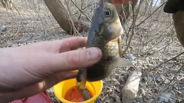 Весенняя рыбалка на Карасиков на маленькой речке. Рыбалка на фиде. Рыбалка Башкортостан смотреть онлайн