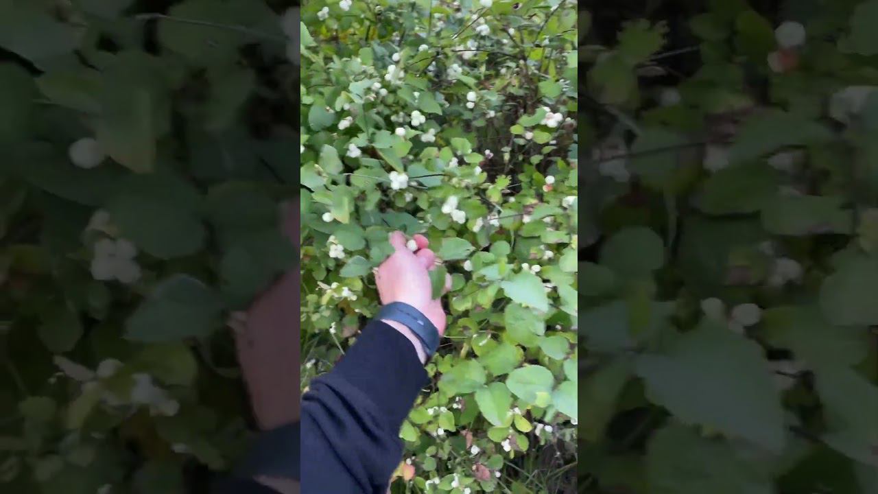 Делали так?