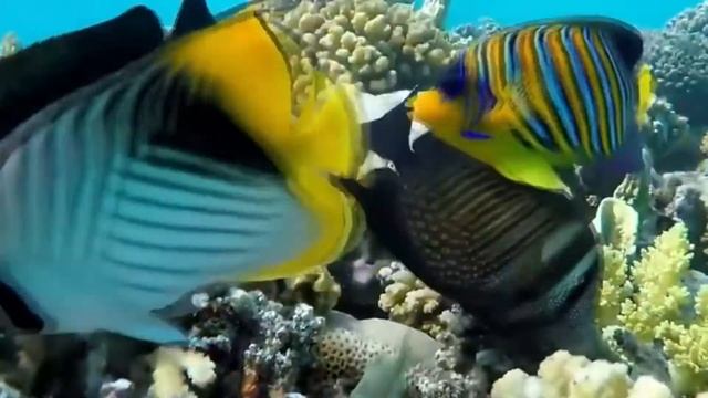 ПРИЯТНЫЕ ЗВУКИ ДЛЯ СНА И РАССЛАБЛЕНИЯ | ASMR SLEEP ?