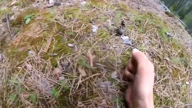 Заброшенные места (2.0) : Заброшенные лагерь "Отважный" смотреть онлайн