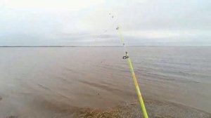 15.05.2022 Каменное. ХМАО-Югра. Рыбалка с дочерью.