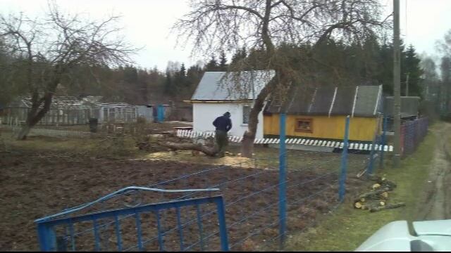 Готовим древесину яблони для поделок смотреть онлайн