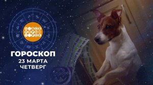 Гороскоп на 23 марта. Доброе утро. Фрагмент выпуска от 23.03.2023